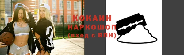 2c-b Инсар