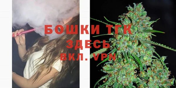 2c-b Инсар