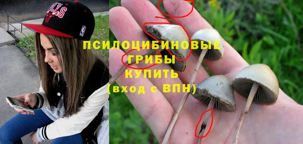 гидропоника Иннополис