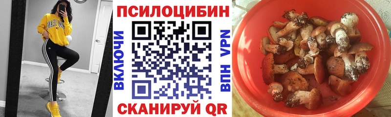 Купить  Гурьевск  Галлюциногенные грибы MAGIC MUSHROOMS 